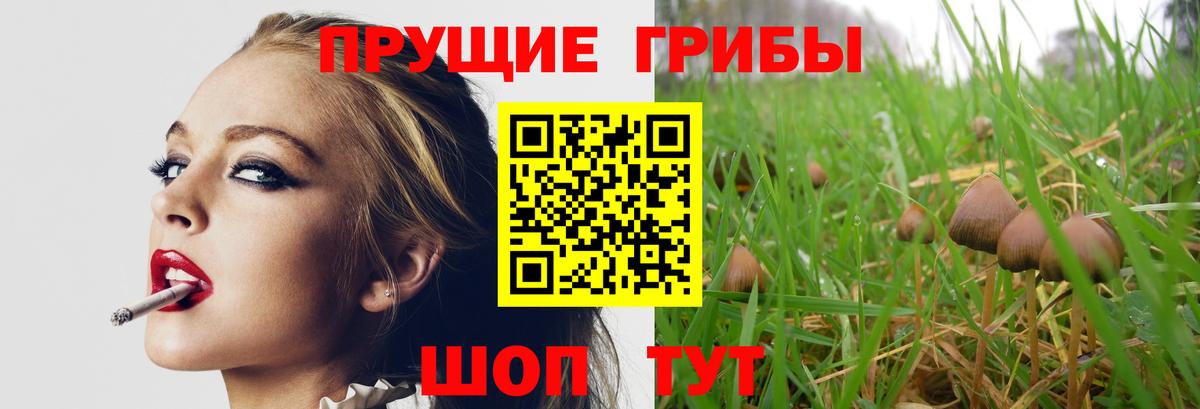 Псилоцибиновые грибы мухоморы  Псилоцибиновые грибы Cubensis  где найти   Елизово  Вход с VPN 